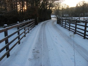 img_0408