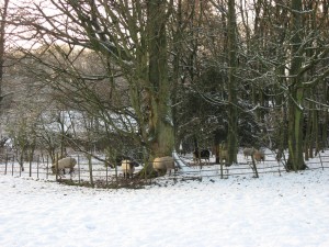 img_0413