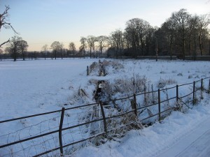 img_0417