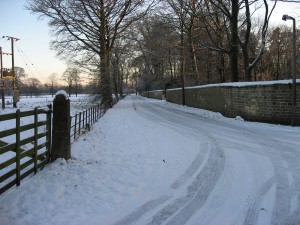 img_0418