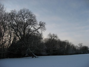 img_0421