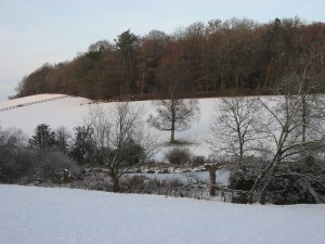 img_0426
