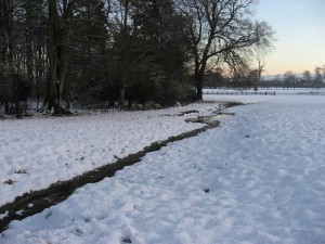 img_0427
